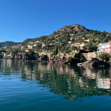 33 M2 Comme Junior - Vue Port Et Palais Des Festivals Cannes