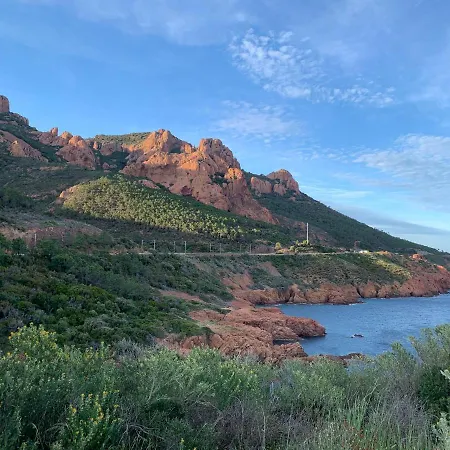 33 M2 Comme Junior - Vue Port Et Palais Des Festivals Cannes